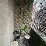 Vitoshкa Urban Daire *