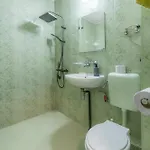 Vitoshкa Urban Daire *