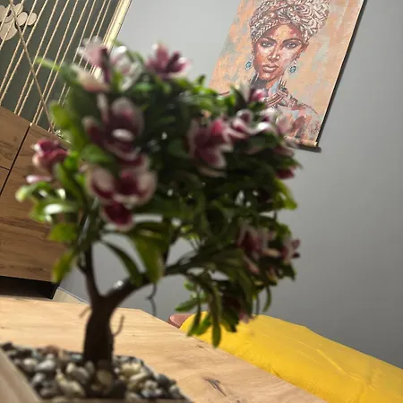 Apartmán Vitoshкa Urban Sofie