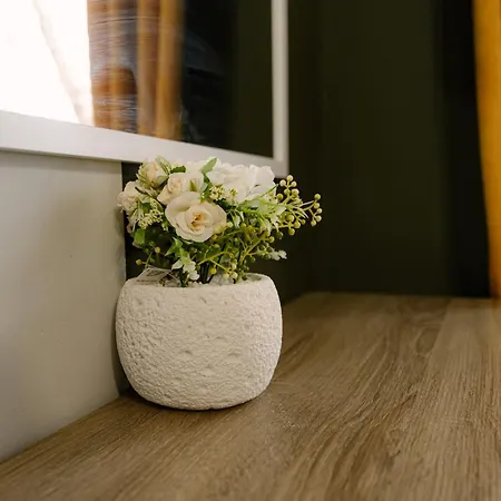 Vitoshкa Urban Apartmán Sofie