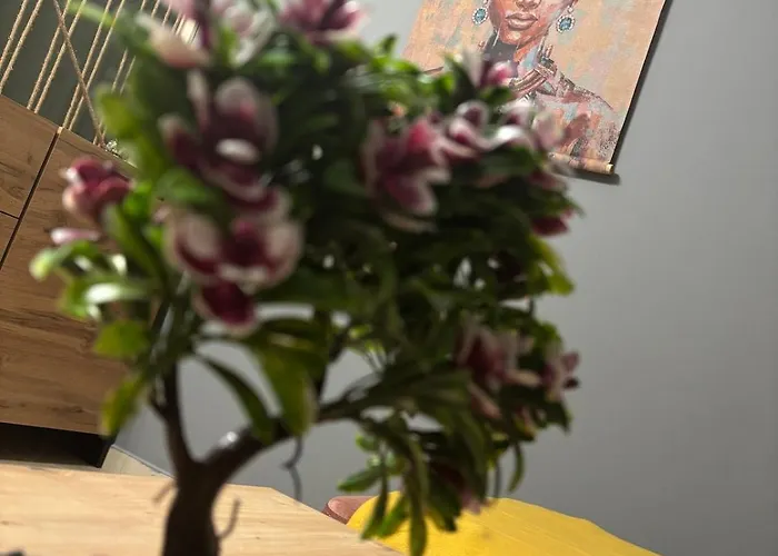 Apartamento Vitoshкa Urban Sofía