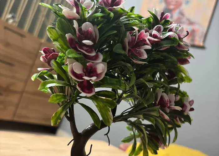 شقة Vitoshкa Urban *